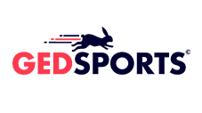 Logo original pequeño